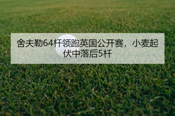 she-fu-lei-gan-ling-pao-ying-guo-gong-kai-sai-xiao-mai-qi-fu-zhong-luo-hou-gan-2-538.jpg